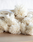 Moroccan Pom Pom Wool Blanket - Natural White