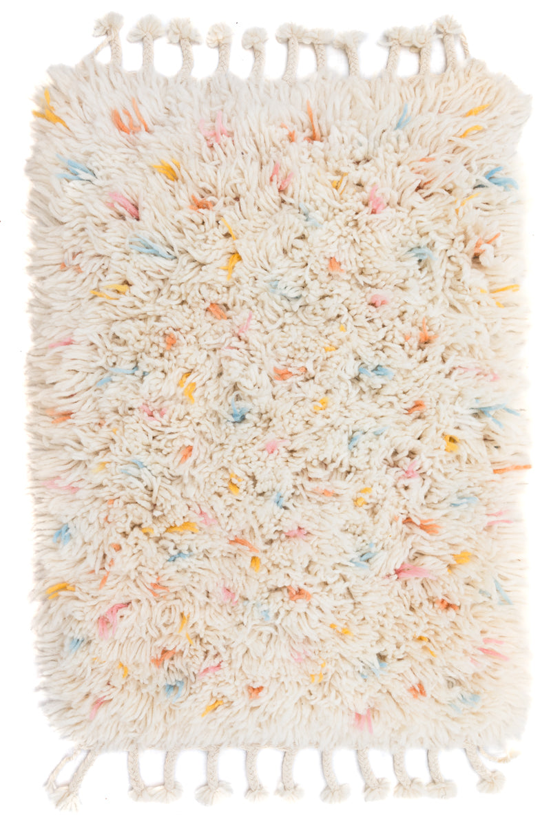 Mini Reversible Shag Moroccan Wool Rug - Multi-color Speckle - 2x3 ft